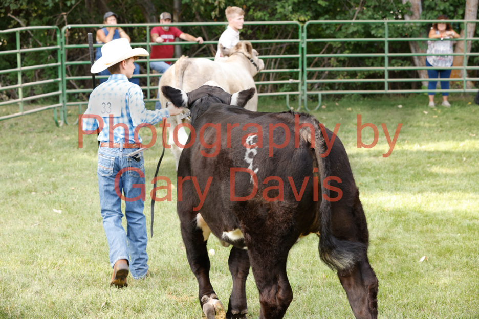 _MG_0054 (2)